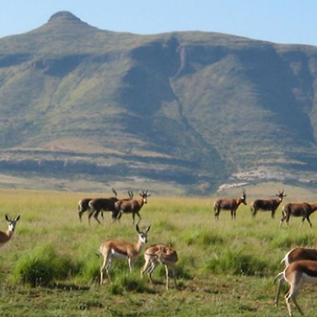 Moolmanshoek Private Game Reserve Hotel Ficksburg Extérieur photo